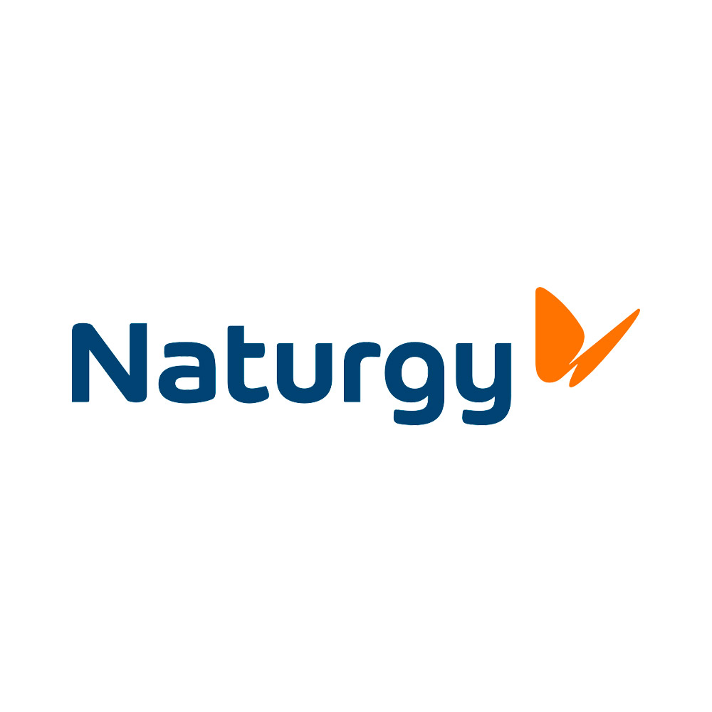 Alquiler de base de datos - Naturgy